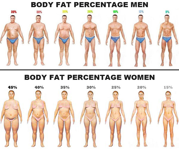 30 Body Fat Diet