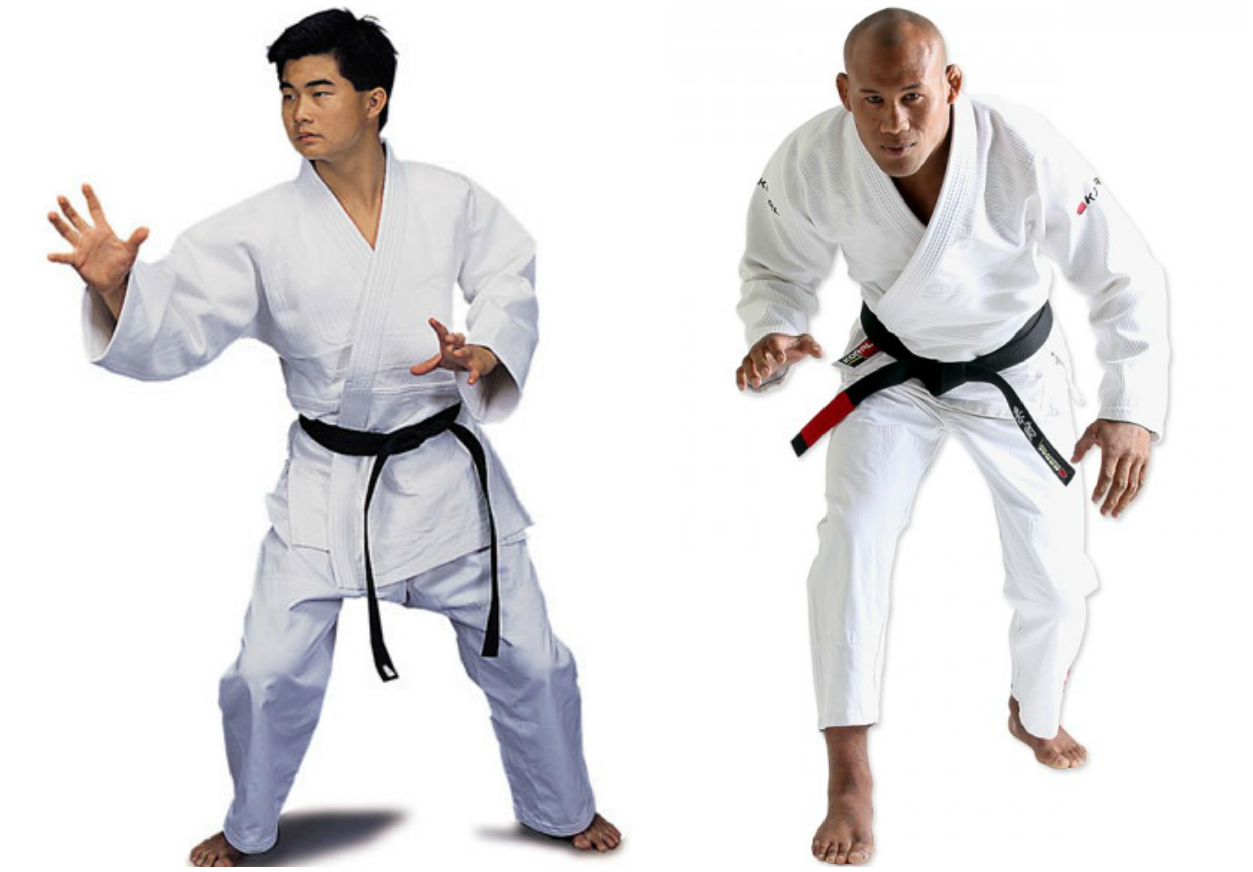 Differences Between Brazilian Jiu-Jitsu & Japanese Ju Jitsu